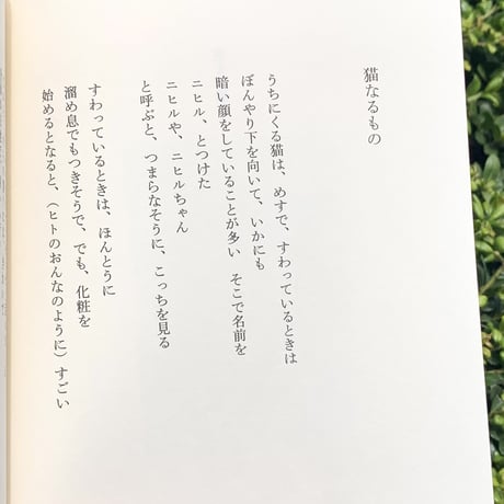 北村太郎 ｜空とぶ猫