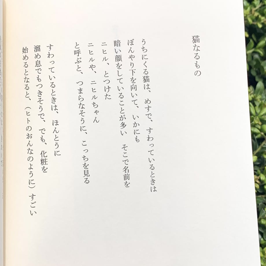 60811c9be70dc42ba096e75f