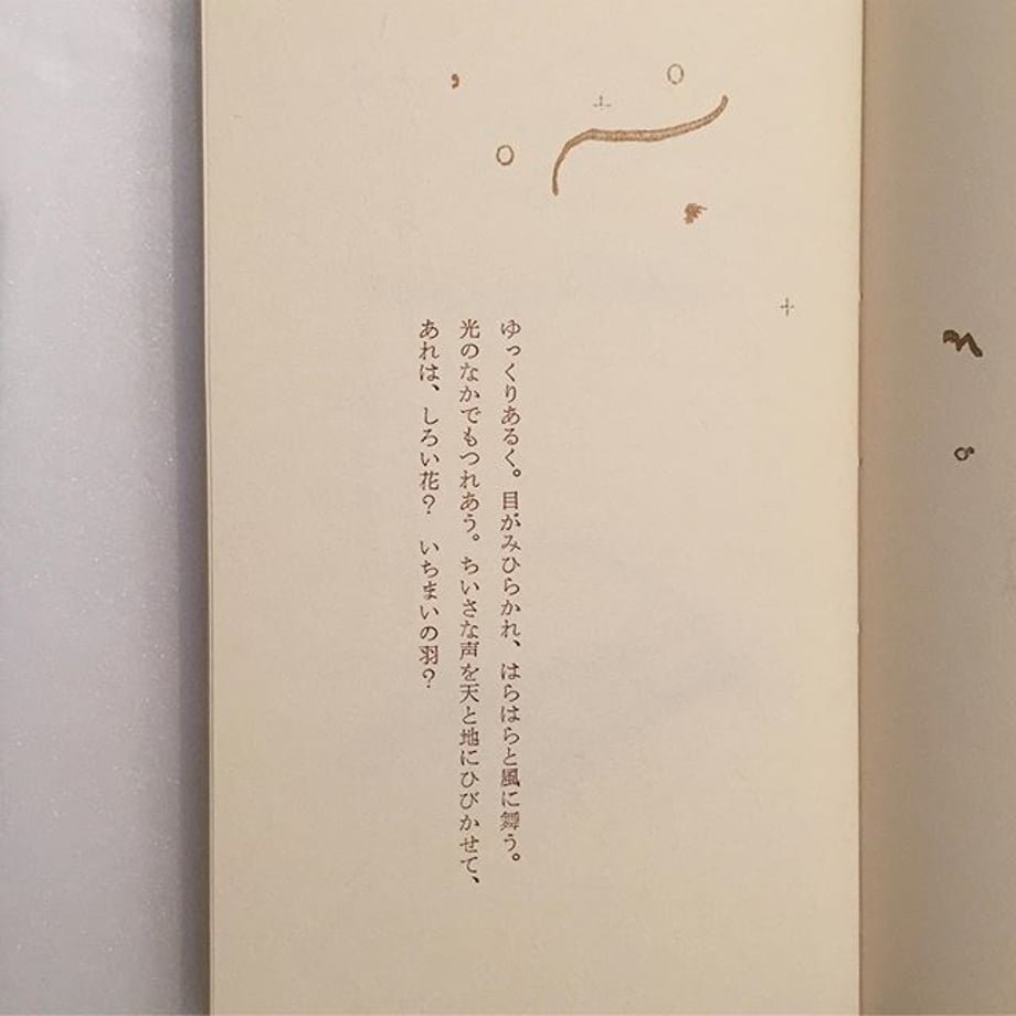 5cf21b20c843ce51b5544c98