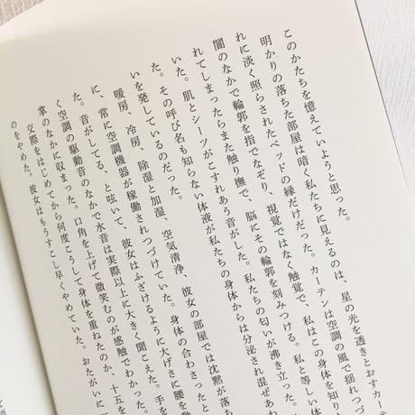 水原涼、安田和弘｜震える虹彩