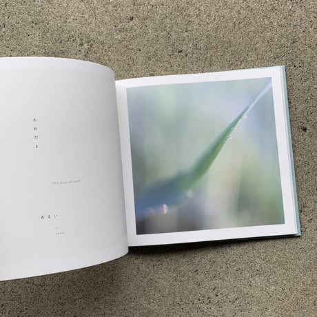 詩：谷川俊太郎　写真：川内倫子｜いまここ