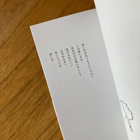 南美｜風光