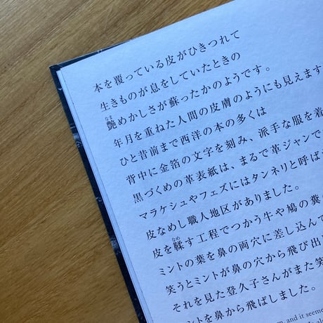 島尾伸三＝文、潮田登久子＝写真｜ビブリオビブリ