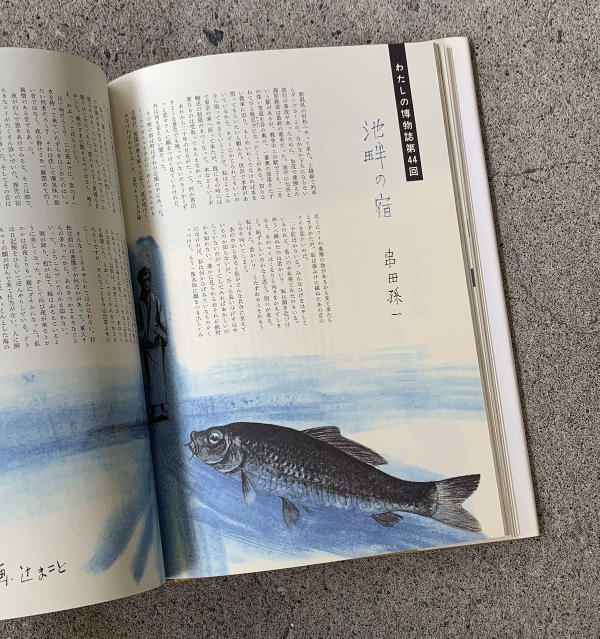 著者：串田孫一　画：辻まこと | わたしの博物誌（古）