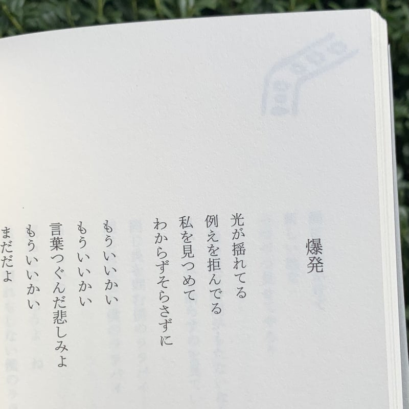 折坂悠太｜あなたは私と話した事があるだろうか | SUNNY BOY BOOKS