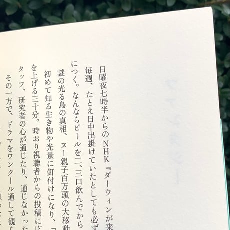 梶谷いこ | 和田夏十の言葉