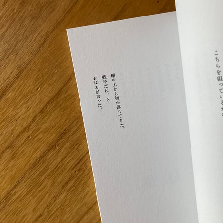 南美｜風光