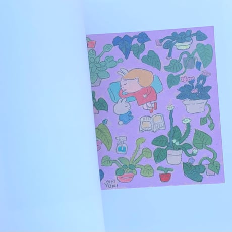 イケガミヨリユキ｜植物生活 Life with plant life