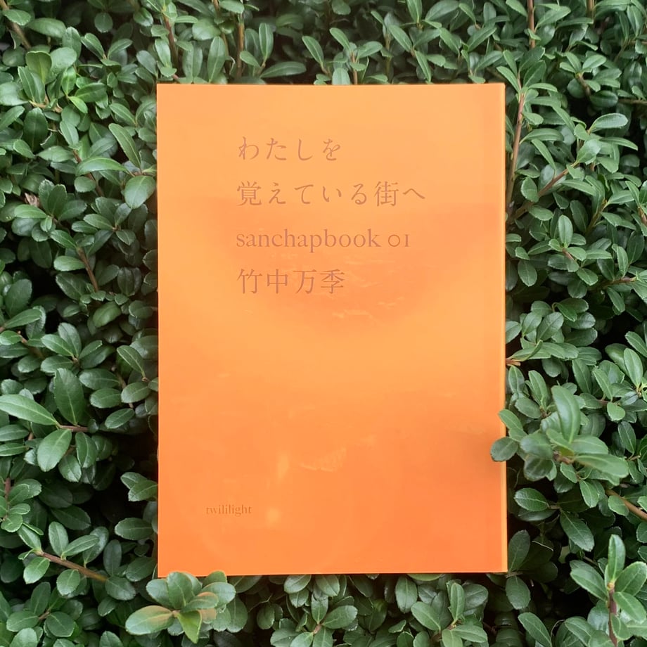 658124adc1e66b029c87a556