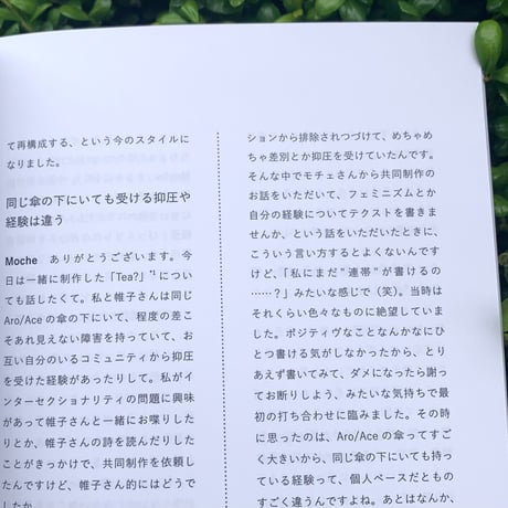 Moche Le Cendrillon｜あなたとケーキをシェアするためのいくつかの方法