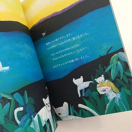 きたしまたくや　|  貝殻の底は積み木の影