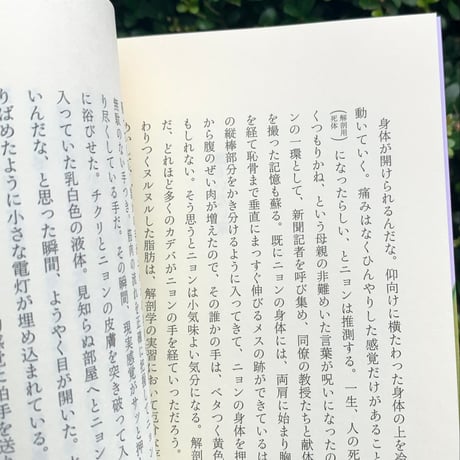著：イ・ジュへ　訳：牧野美加｜その猫の名前は長い