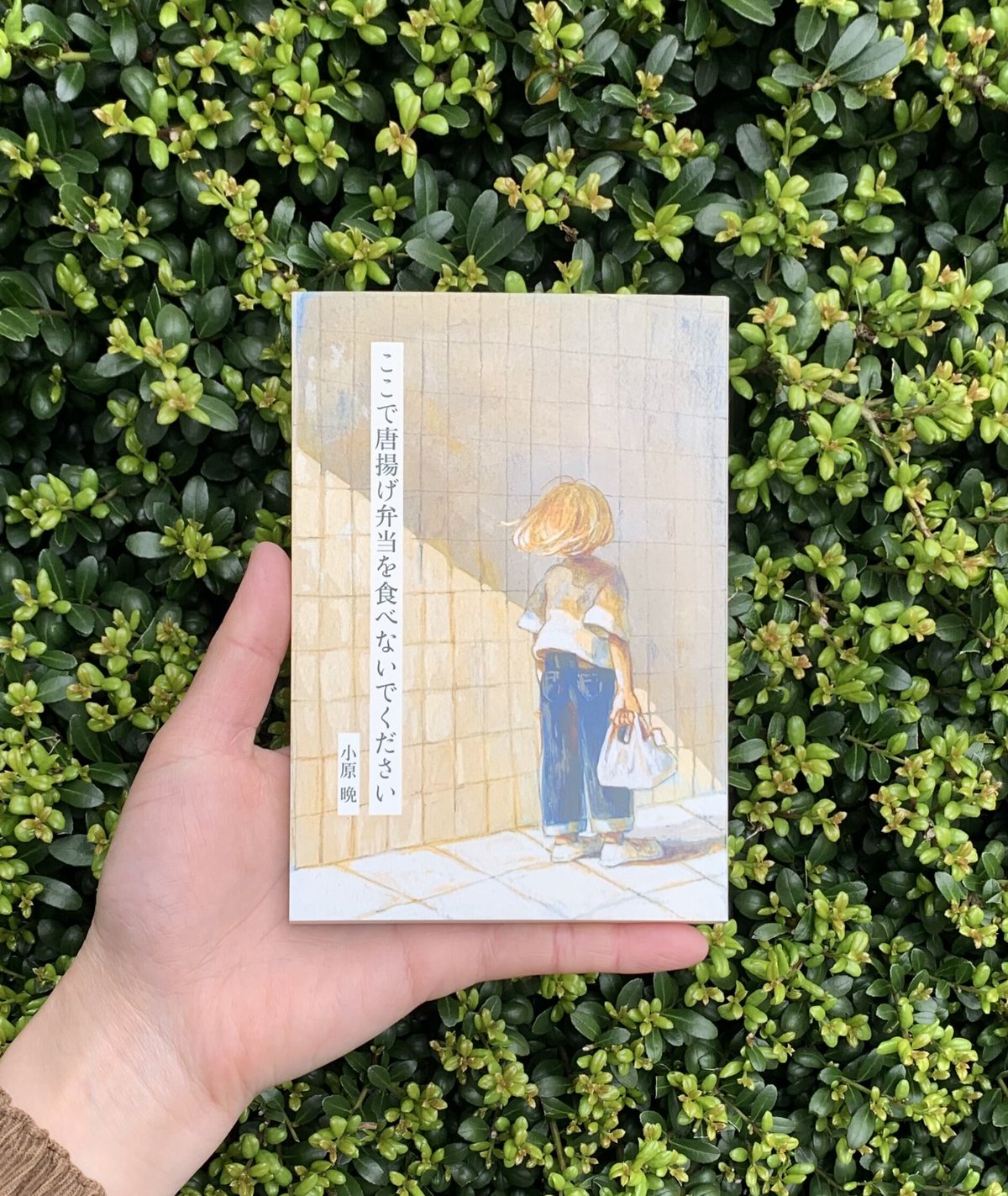 小原晩｜ここで唐揚げ弁当を食べないでください | SUNNY BOY BOOKS