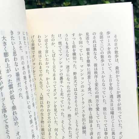 著：イ・ジュへ　訳：牧野美加｜その猫の名前は長い
