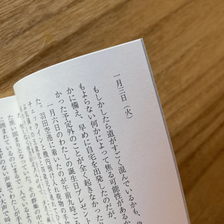 図Yカニナ｜沖縄に六日間