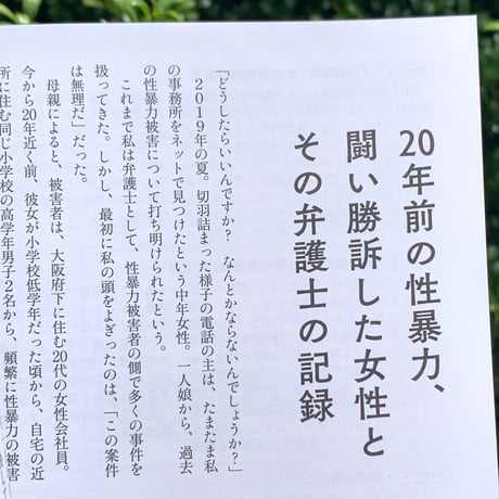 エトセトラ VOL.11「ジェンダーと刑法のささやかな七年」