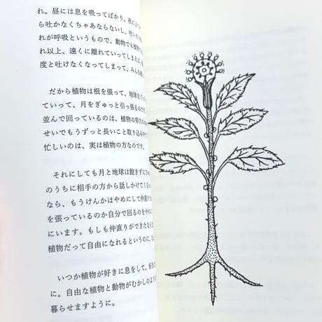 モノ・ホーミー｜植物の部屋　モノ・ホーミー線画集②