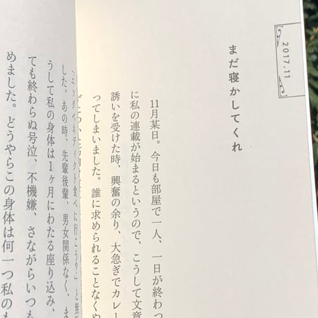 柴田聡子｜きれぎれダイアリー 2017～2023