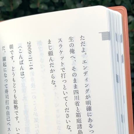 仲西森奈｜名付けたものどもを追う 道筋を歩きながら、