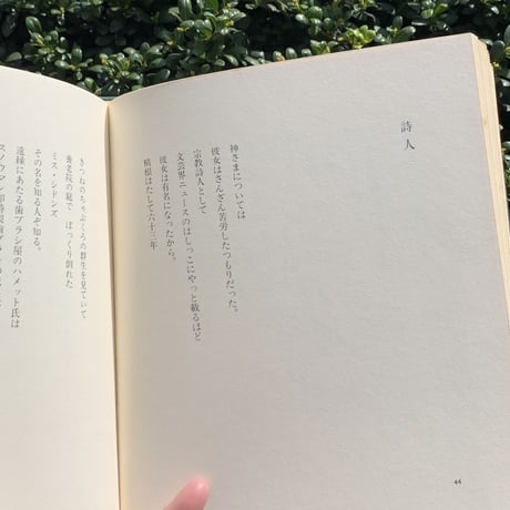 天野忠  | 動物園の珍しい動物（古）