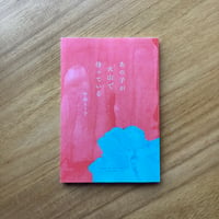 中島とう子｜あの子が火山で待っている