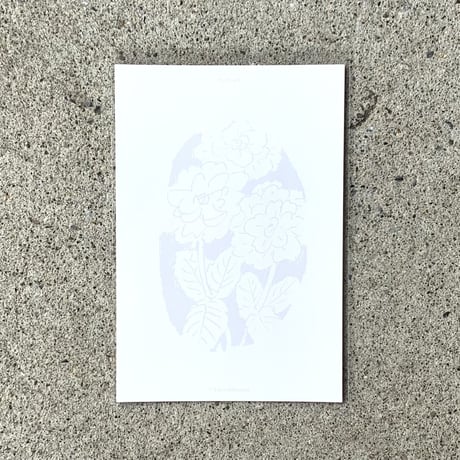 市村柚芽｜花のポストカード 3枚セット（2種）
