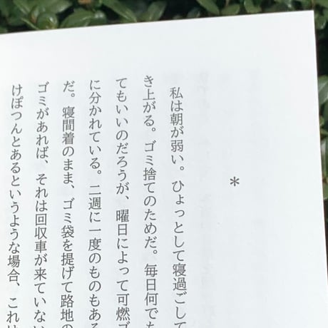 友田とん｜先人は遅れてくる　パリのガイドブックで東京の町を闊歩する3