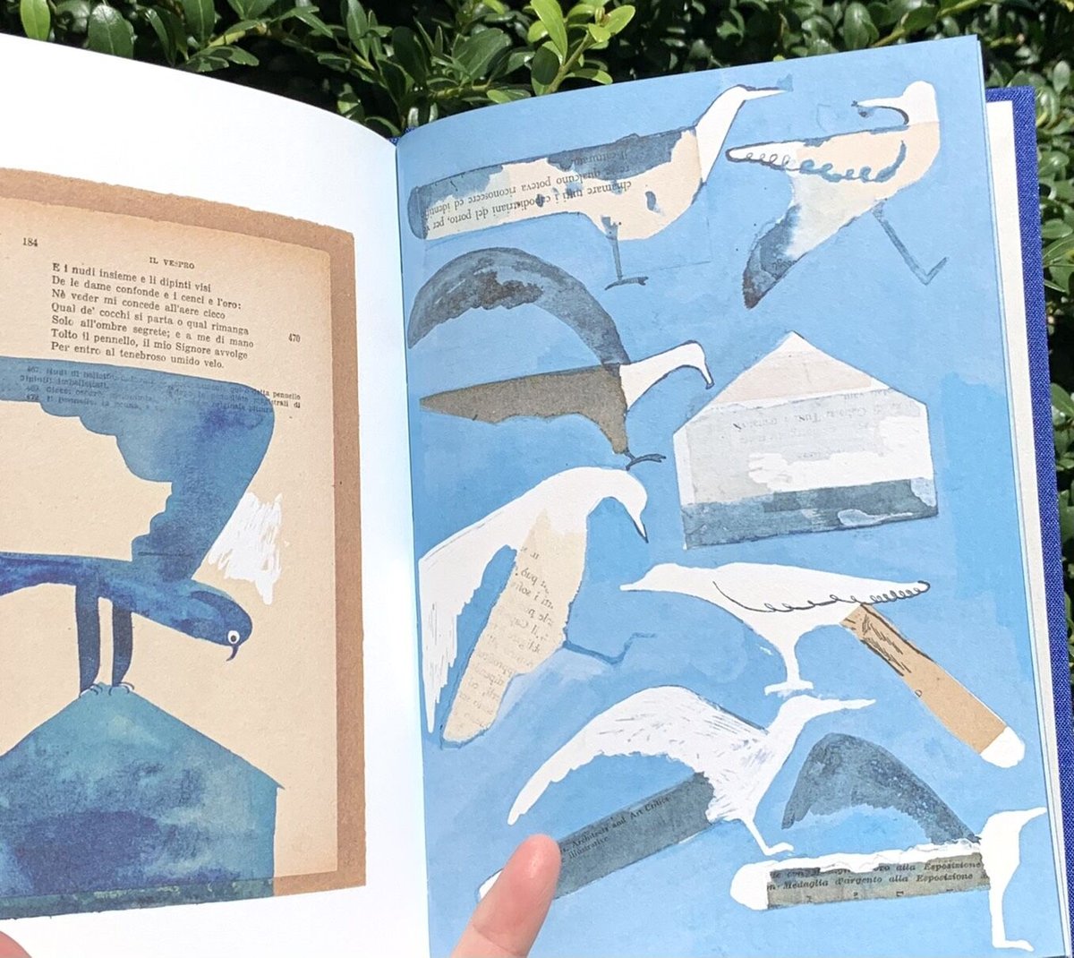トラネコボンボン 中西なちおさん 原画 1点物 絵画 青い鳥 BIRD 【公式