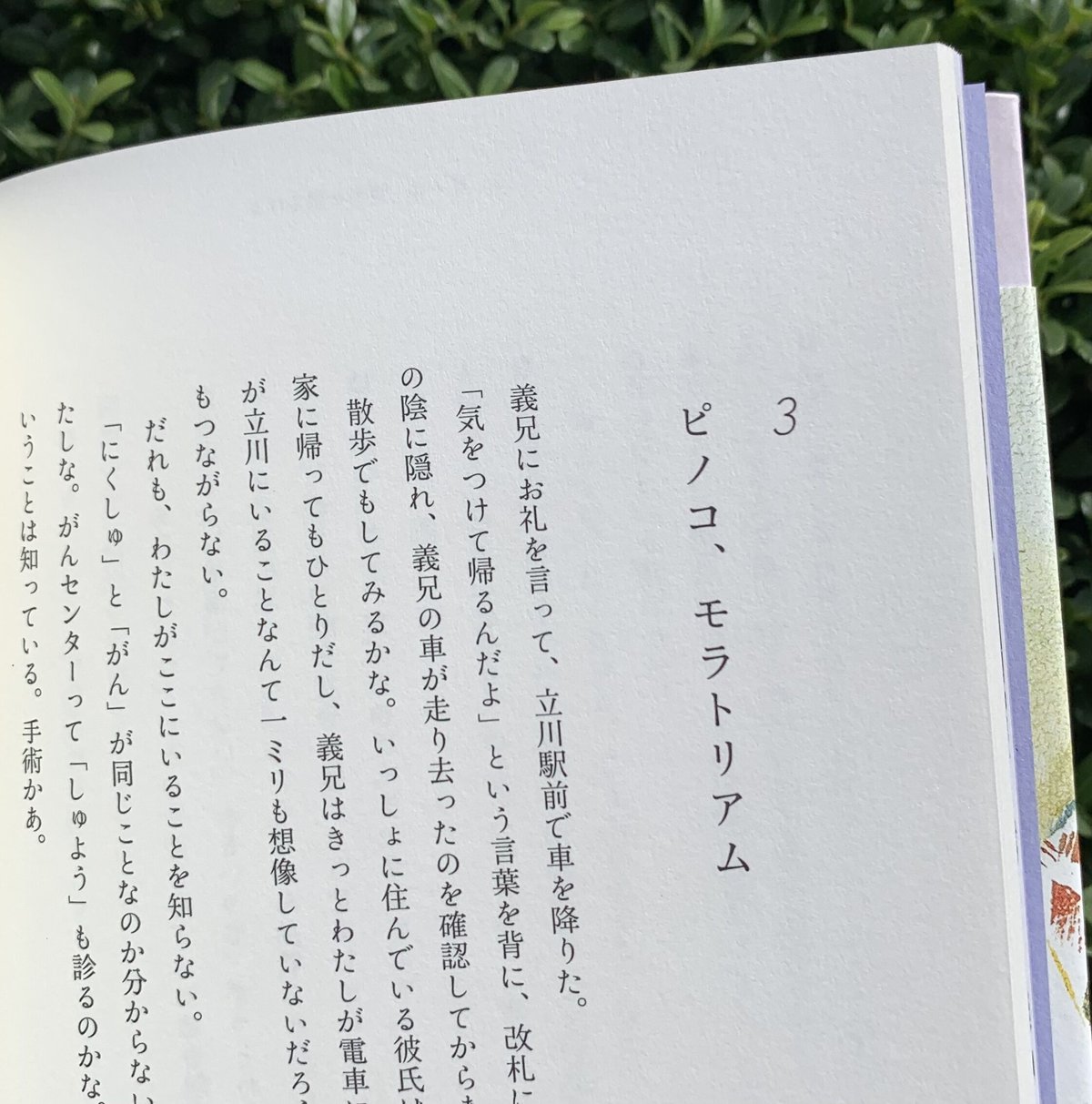 吉﨑有希絵｜ Pinoko Book（わたしとピノコの話） | ゆっくりつたえる