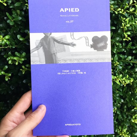 APIED 各号