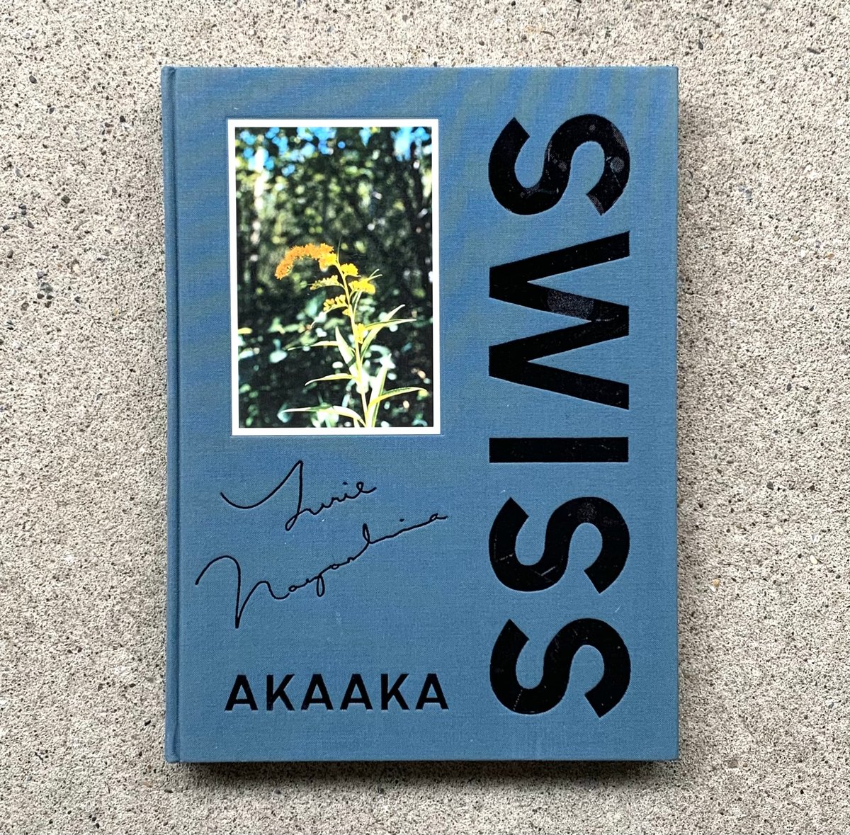 SALVO 証明書付きオリジナル版画 「エーゲパノラマ」 シルクスクリーン 
