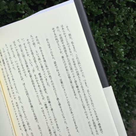 温又柔、木村友祐｜私とあなたのあいだ
