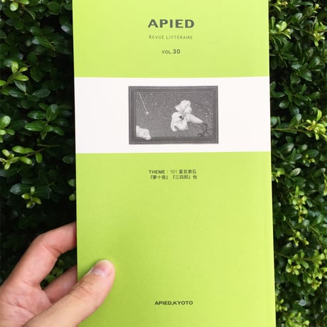 APIED 各号