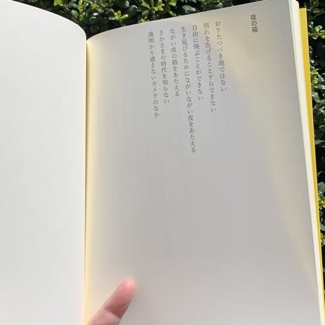 青柳菜摘｜そだつのをやめる