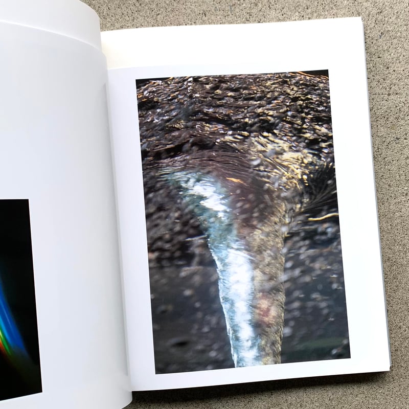 川内倫子 M/E M/E - BOOK AND SONS オンラインストア
