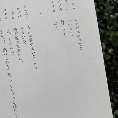 宮崎玲奈 | つかの間の道