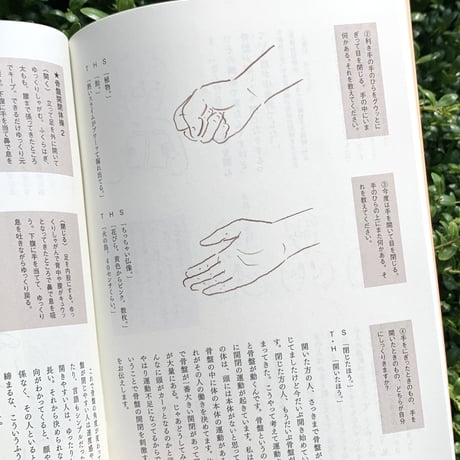 川﨑智子・鶴崎いづみ ｜体操をつくる