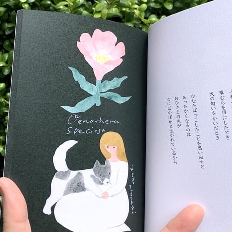 柊有花 | 花と言葉