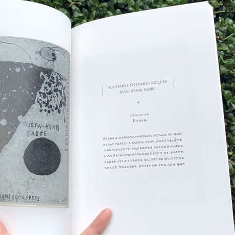 タダジュン｜Dear, THUMB BOOK PRESS　＊重版出来