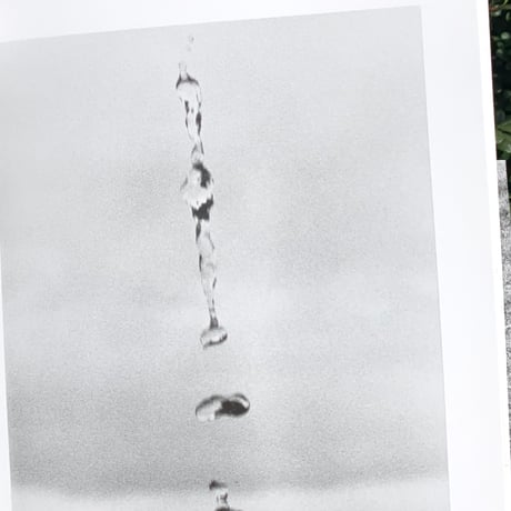 ヨヘン・レンベルト｜Field Guide Jochen Lempert（古）
