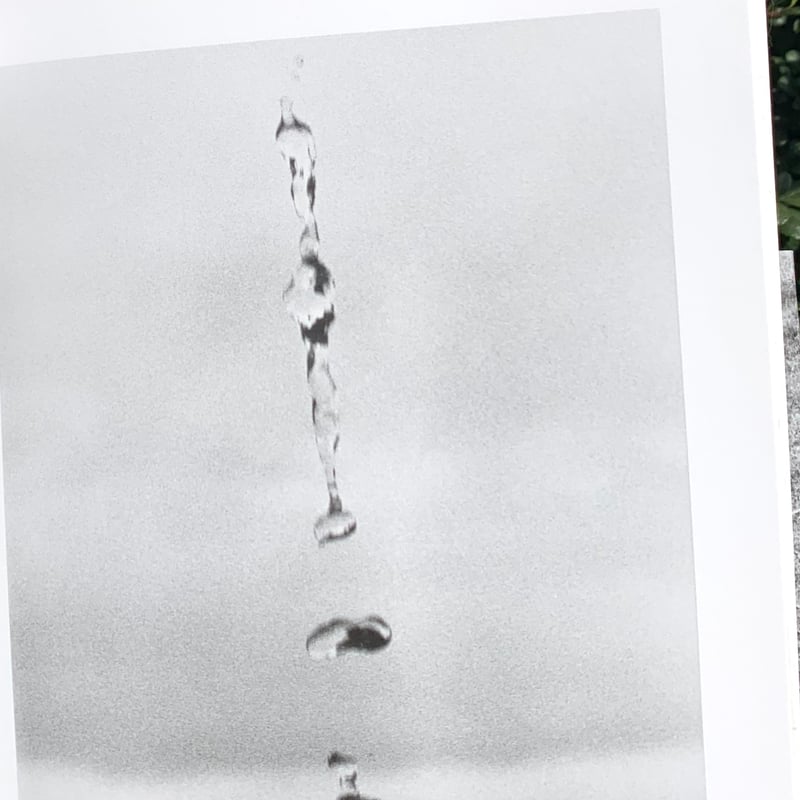 ヨヘン・レンベルト|Field Guide Jochen Lempert(古) | SUNNY ヨヘン・レンベルト|Field Guide Jochen Lempert(古) | SUNNY