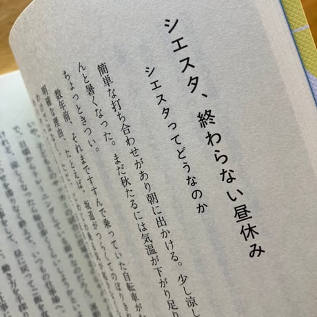 古賀及子｜よくわからないまま輝き続ける世界と　気づくための日記集