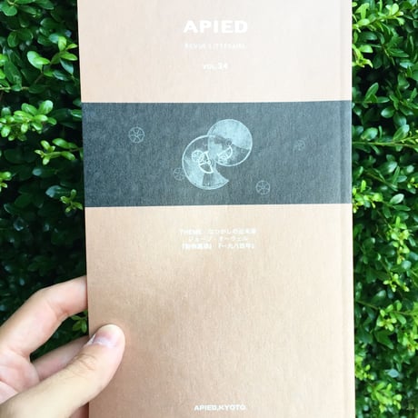 APIED 各号