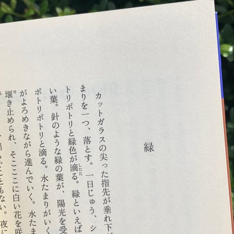 著：ヴァージニア・ウルフ　画：ヴァネッサ・ベル　訳：片山亜紀｜月曜か火曜