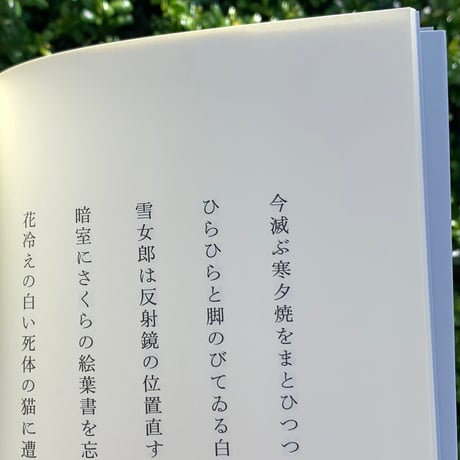 編：四ッ谷龍｜編棒を火の色に替えてから　冬野虹詩文集