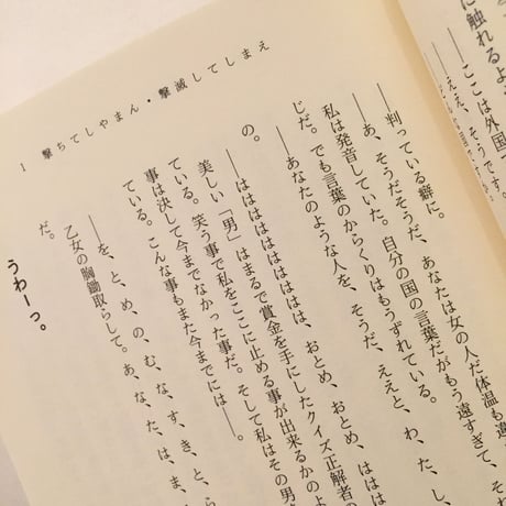 笙野頼子｜水晶内制度