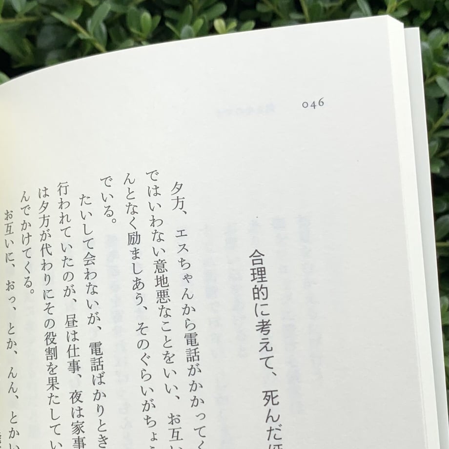 64f2d6c6c4153f0033b608b6