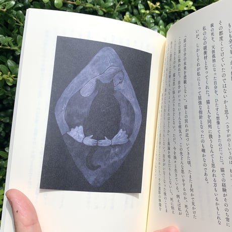 ちいさないきものと日々のこと