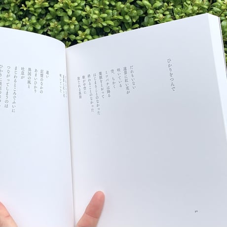 藤本徹｜青葱を切る（新装版）