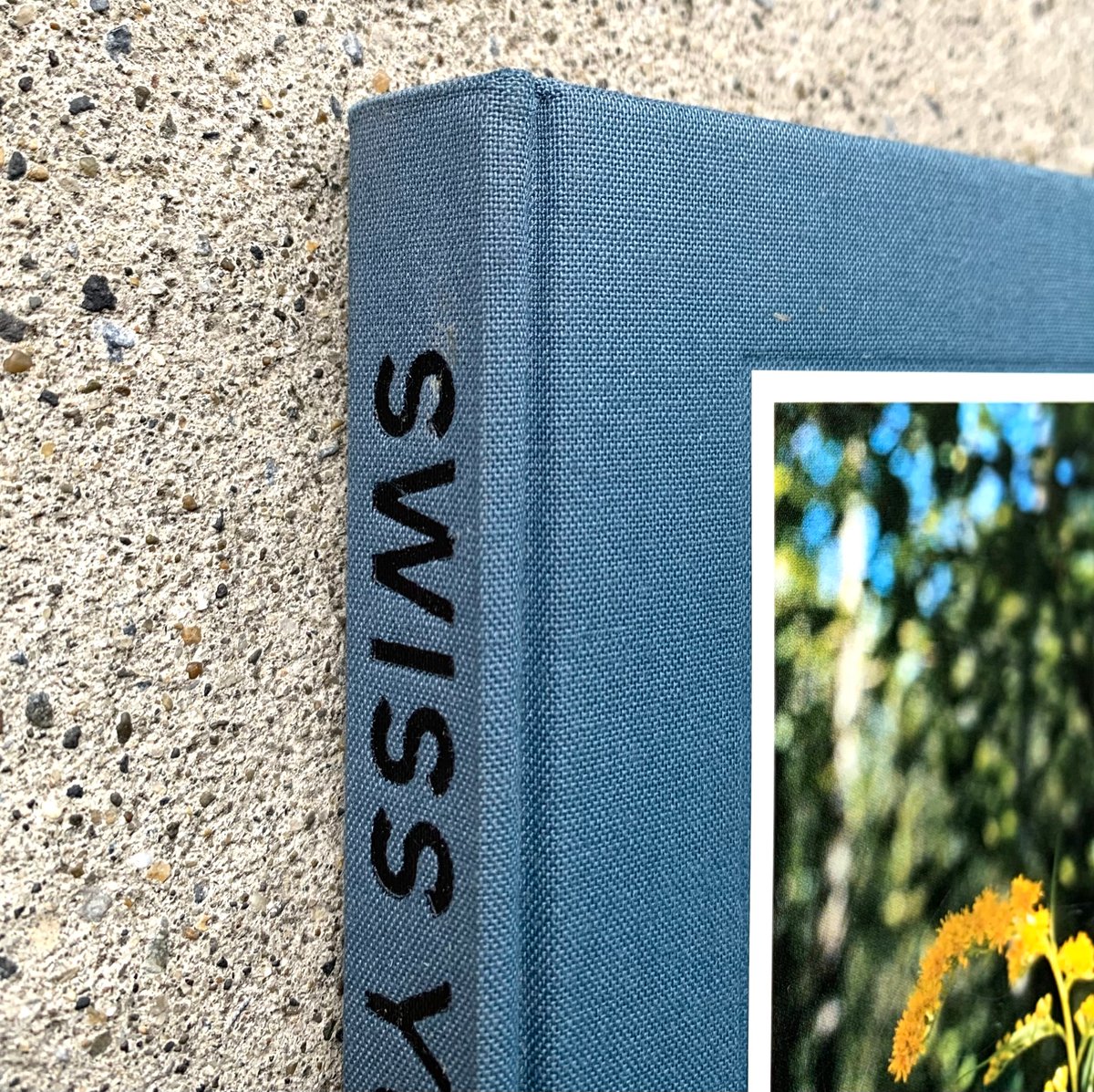 長島有里枝｜SWISS（古） | SUNNY BOY BOOKS